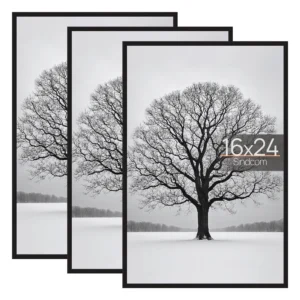 Sindcom 16x24 Black Picture Frames